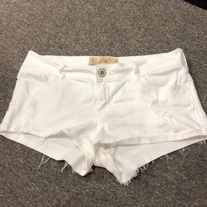 Hollister short-shorts